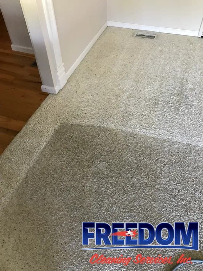 A carpet is being cleaned in a living room